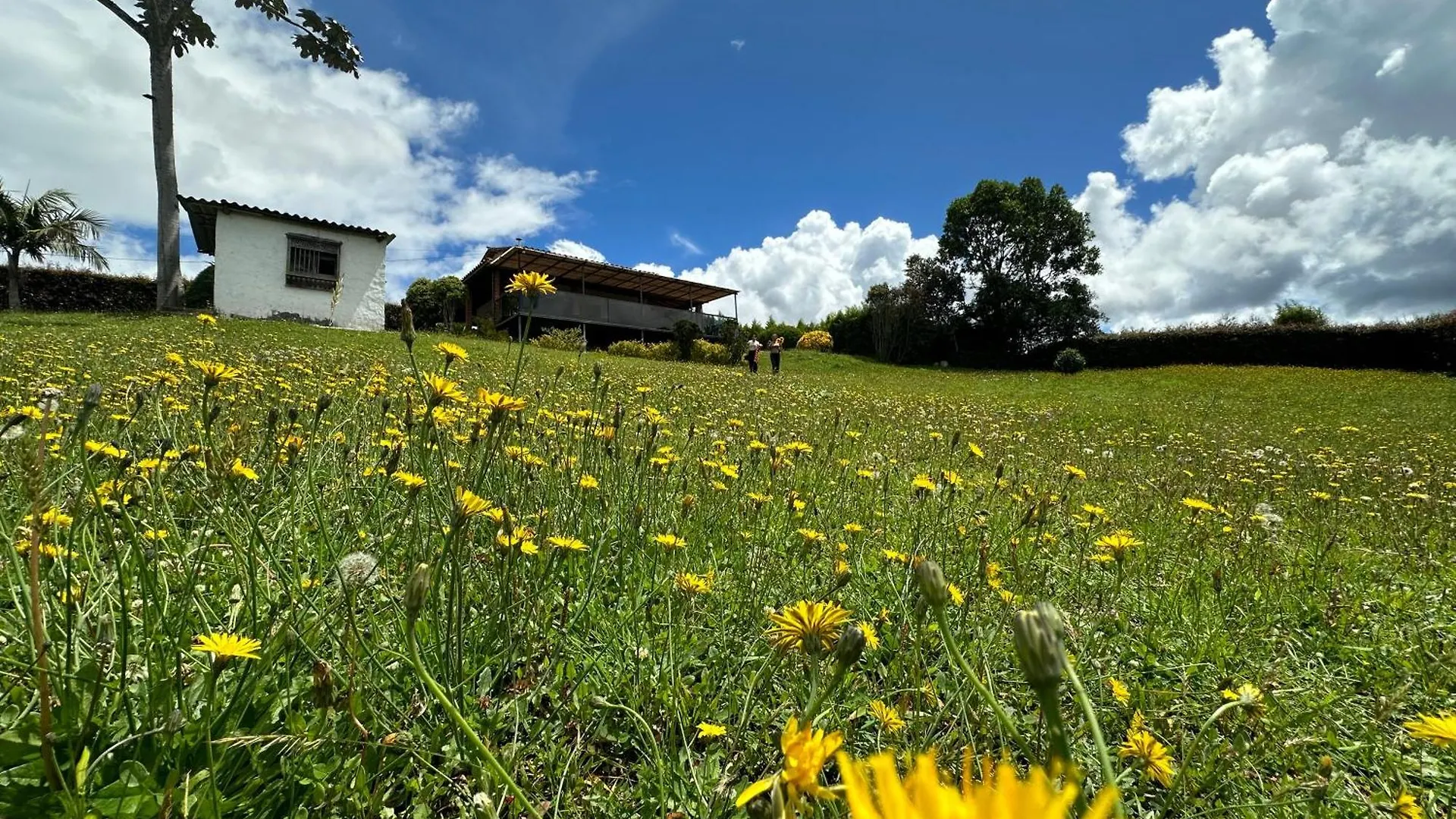 Holiday home Finca Buena Vista Santa Elena